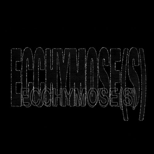 ECCHYMOSE(S)